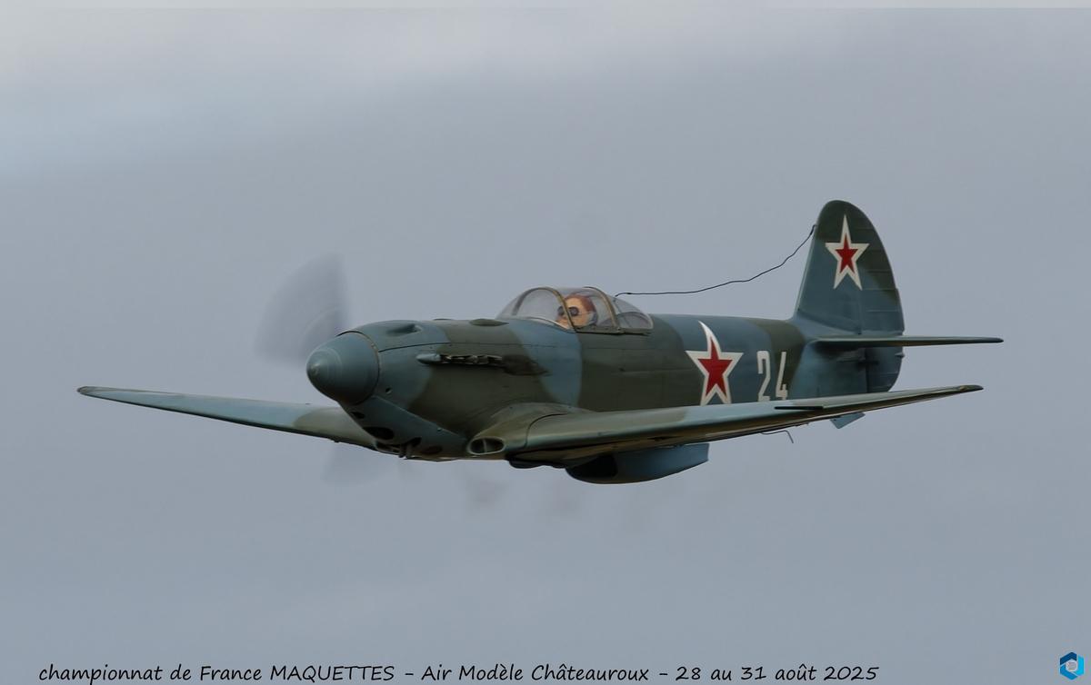 yak_3_d_brissaud.jpg